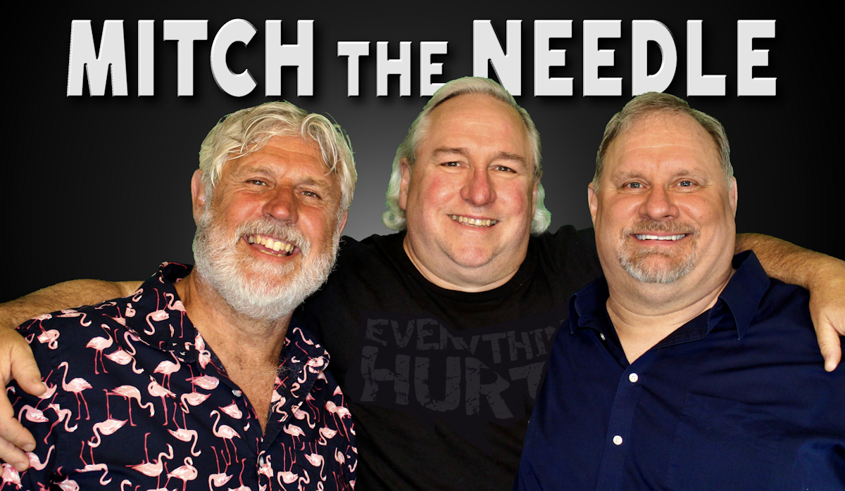 Mitch the Needle Logo